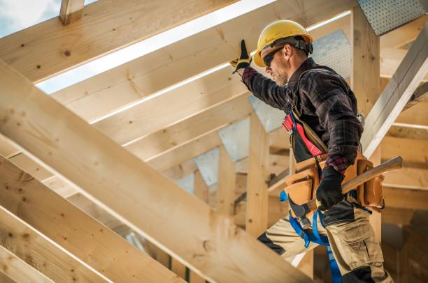 Best Roof Gutter Cleaning  in Farmville, VA