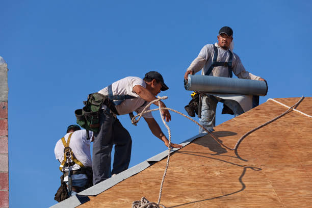 Best Flat Roof Repair Services  in Farmville, VA